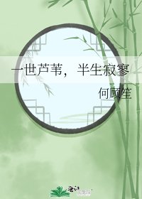 一世芦苇,半生寂寥