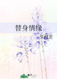 替身情缘